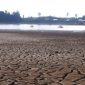Foto ilustrasi Kemarau (Screenshot Tribun)