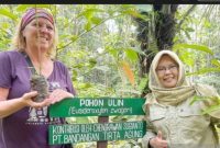 Hari Bumi 2025, ULM Bersama University of Montreal dari Kanada tanam 100 bibit pohon ulin (Foto Antara)