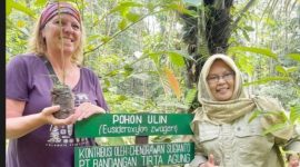 Hari Bumi 2025, ULM  Bersama University of Montreal dari Kanada tanam 100 bibit pohon ulin (Foto Antara)

