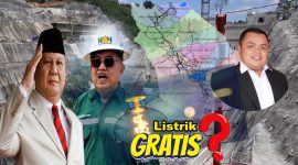 Pebi Julianto (Dosen IAIN Kerinci)
