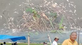 Kades Desa Gedung Efdal Taufik Bersama Ketua Kelompok Lubuk Larangan  Dt Aswardi di Lokasi Lubuk Larangan 
