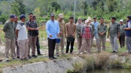 Bupati Kerinci Tinjau Pembenihan dan Budidaya Ikan di Danau Kerinci