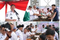 Pemerintah Kabupaten Kerinci  Panen Perdana Benih Kentang 