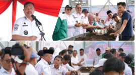 Pemerintah Kabupaten Kerinci  Panen Perdana Benih Kentang 