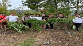 Satresnarkoba Polres Kerinci (Foto Humas Polres)