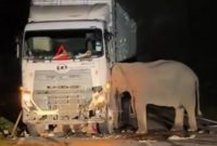 Foto Tangkapan Layar