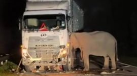 Foto Tangkapan Layar