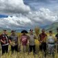 Bupati Monadi Hadir Tanam dan  Panen  dan Tanam Padi Serentak di Desa Talang Kemuning panen padi di Desa Lolo Hilir,