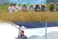 Pemerintah Kota Sungai Penuh bersama Bank Indonesia menggelar acara GNPIP