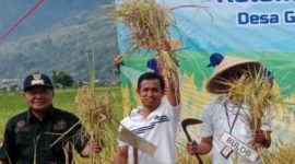 Joli Satria,SPd Ketua Kelompok Tani Tiang Biduk 3 Dan Kepala Desa Gedang Kecamatan Sungai Penuh