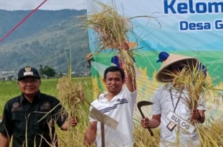 Joli Satria,SPd Ketua Kelompok Tani Tiang Biduk 3 Dan Kepala Desa Gedang Kecamatan Sungai Penuh
