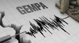 Ilustrasi Gempa ( Foto Antara)