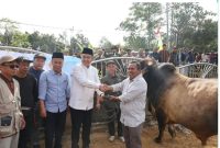 Penyerahan Sapi Qurban Bantuan Presiden RI di Desa Renah Kayu Embun