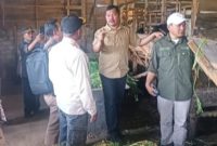 Bupati Monadi resmi mencanangkan kawasan sentral ternak kambing PE di Batang Sangir