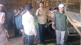 Bupati Monadi resmi mencanangkan kawasan sentral ternak kambing PE di Batang Sangir