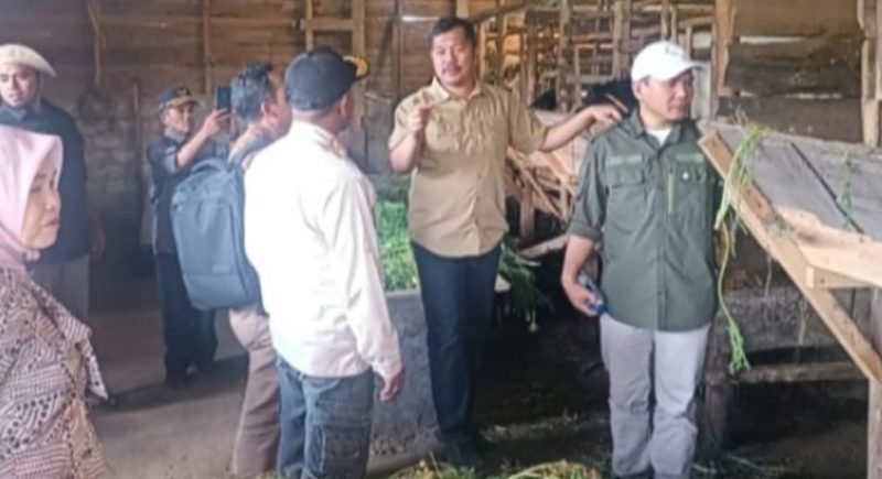 Bupati Monadi resmi mencanangkan kawasan sentral ternak kambing PE di Batang Sangir
