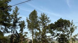 Cuaca stabil di Kerinci dan Sungai Penuh, dengan suhu 19–30°C dan angin Barat Daya 1–22 km/jam.(Foto inbrita)