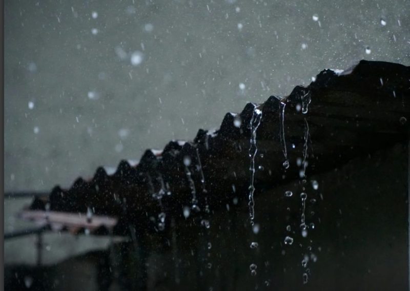 Ilustrasi Foto Pexels