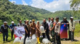 Maya Novefry Handayani bersama PT EDC menabur benih ikan semah di Danau Duo.