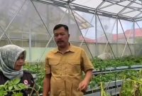 Bupati Monadi mendukung petani Kerinci hasilkan kentang unggul berkualitas tinggi.
