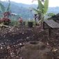 Lesoun Bateu, lesung batu peninggalan nenek moyang Suku Kerinci di Bukit Takalak Angin Desa Talang Lindung ( Foto Novtrianto Dahmunir)