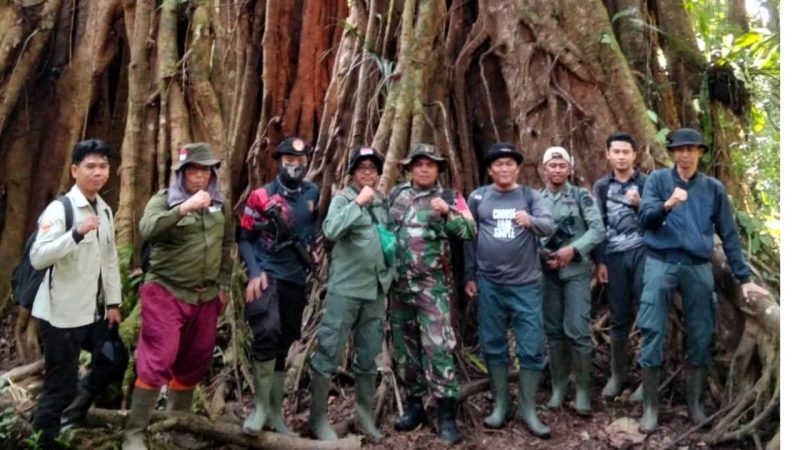 Babinsa Koramil 417-02/GR dampingi TNKS pasang tanda larangan hutan Gunung Raya.
