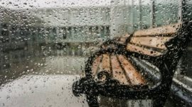 Keterangan foto 
Ilustrasi hujan deras (foto pexels)