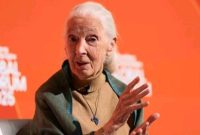 Jane Goodall, ilmuwan dan aktivis primata, meninggal dunia pada usia 91 tahun.