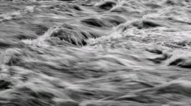 Ilustrasi (Foto unsplash/lucas Hron)