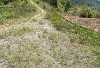 Kondisi jalan rusak membuat petani kesulitan membawa hasil ladang di Tebat Gedang.