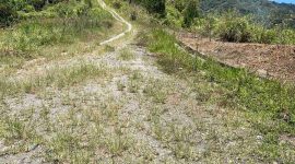 Kondisi jalan rusak membuat petani kesulitan membawa hasil ladang di Tebat Gedang.