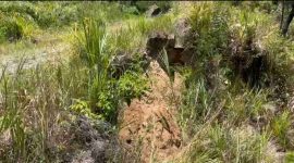 Kondisi Jalan Usaha Tani yang licin saat hujan menjadi tantangan bagi petani.
