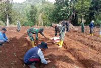 Anggota Satgas TMMD Ke-126 Kodim 0417/Kerinci bersama warga Sungai Jernih menanam bibit terong dalam kegiatan ketahanan pangan, Sabtu (18/10/2025).

