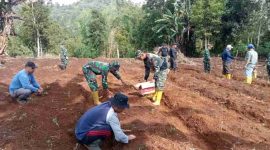 Anggota Satgas TMMD Ke-126 Kodim 0417/Kerinci bersama warga Sungai Jernih menanam bibit terong dalam kegiatan ketahanan pangan, Sabtu (18/10/2025).

