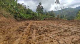 Satgas TMMD dan warga buka jalan Sungai Jernih–Lancar.

