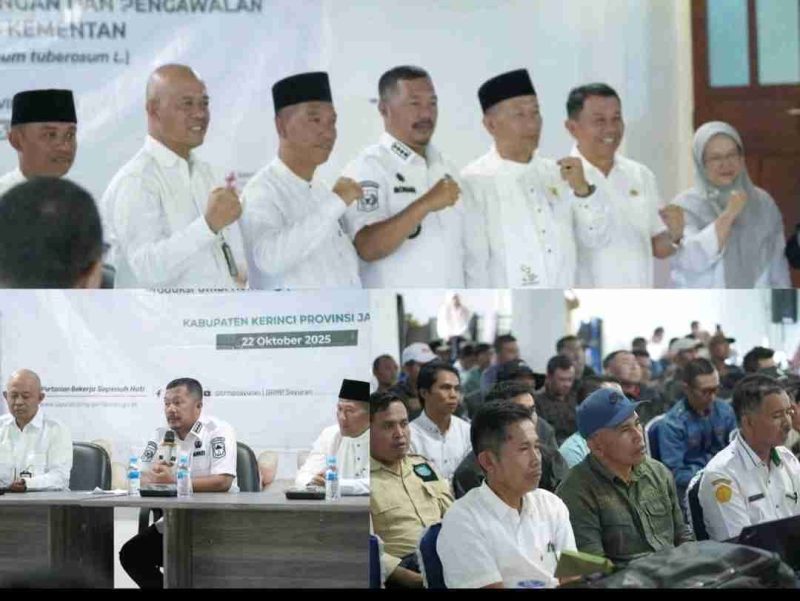 Bupati Monadi dorong peningkatan produksi kentang Kerinci.
