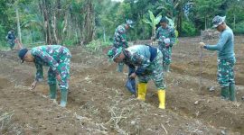 Satgas TMMD ke-126 Kodim Kerinci bantu warga tanam cabai.