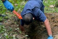 Polisi membongkar makam bayi yang dikuburkan anak jalanan di Jambi. Foto: (Foto: Dimas Sanjaya).