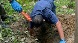 Polisi membongkar makam bayi yang dikuburkan anak jalanan di Jambi. Foto: (Foto: Dimas Sanjaya).