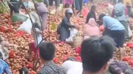 Warga memungut bawang bombai yang dibuang di Tanjung Sengkuang, Batam.( Tangkapan layar)