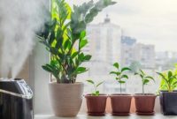 Penggunaan humidifier di rumah bisa membantu menjaga kelembapan udara, namun perlu diperhatikan agar tidak berlebihan saat musim hujan. (Foto: Shutterstock)