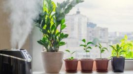 Penggunaan humidifier di rumah bisa membantu menjaga kelembapan udara, namun perlu diperhatikan agar tidak berlebihan saat musim hujan. (Foto: Shutterstock)