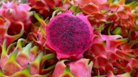 Nikmati kesegaran Dragon Fizz dari buah naga, lemon, kunyit, dan Teh Pucuk Harum. Minuman sehat ini siap menyegarkan harimu!