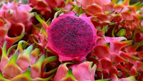 Nikmati kesegaran Dragon Fizz dari buah naga, lemon, kunyit, dan Teh Pucuk Harum. Minuman sehat ini siap menyegarkan harimu!