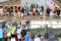 Bupati Monadi bersama warga menanam padi di Kemantan Raya.