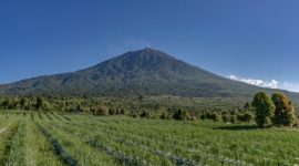 Hutan Hujan Tropis Sumatera yang diakui UNESCO kini menghadapi ancaman besar akibat penebangan liar dan perambahan.