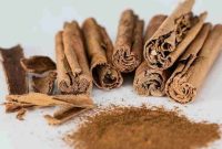 Ilustrasi batang dan bubuk kulit kayu manis kering.