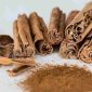 Ilustrasi batang dan bubuk kulit kayu manis kering.