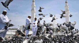 Kota Madinah Foto: ANTARA FOTO/Andika Wahyu