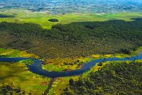 Sumber Gambar: Instagram Rawa Bento